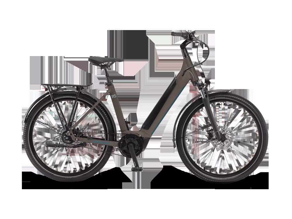 Winora Sinus R5f Low
