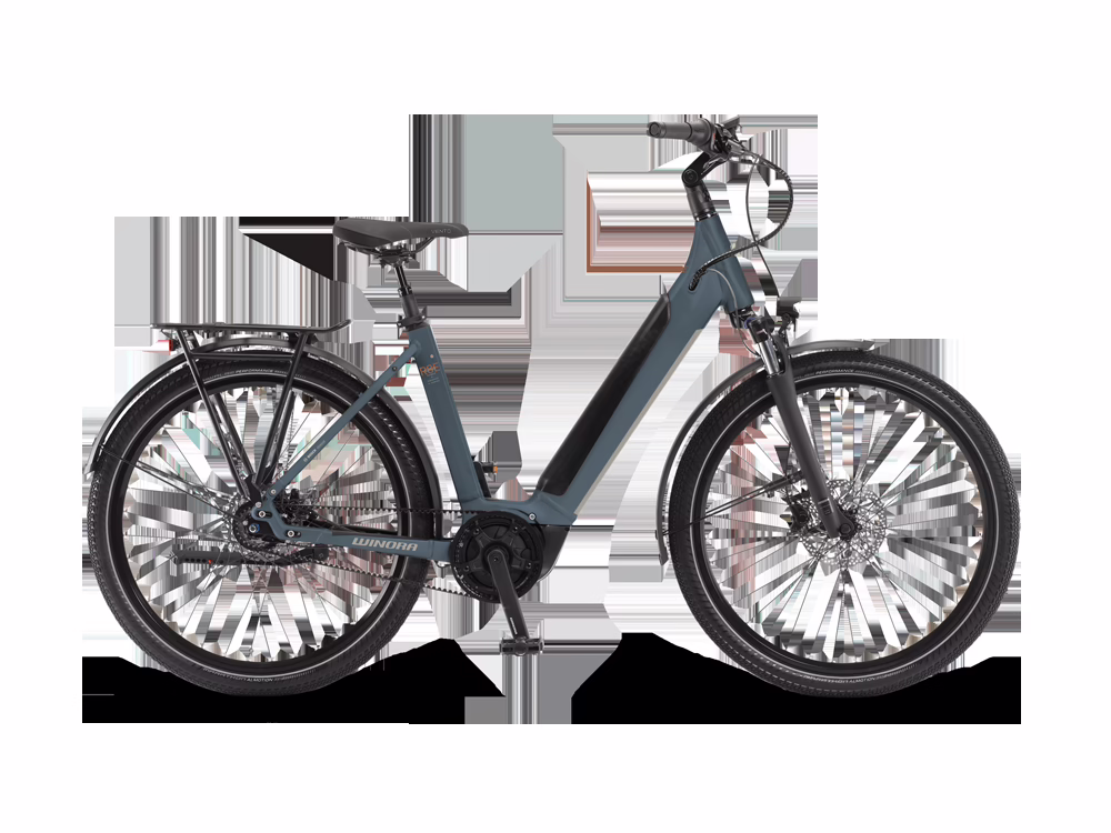 Winora Sinus R8Ef Low