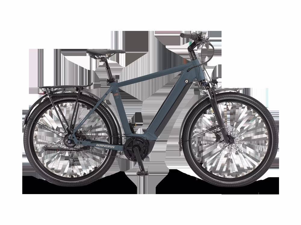 Winora Sinus R8Ef