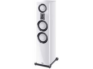 MAGNAT Signature 809