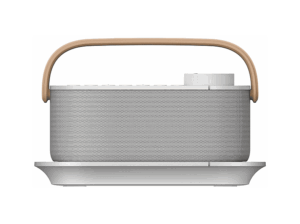 SONY SRS LSR200