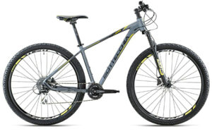 Bottecchia 116