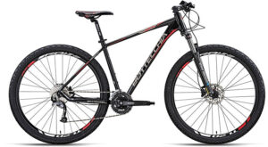 Bottecchia 125 29 C02
