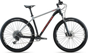 Bottecchia GAVIA