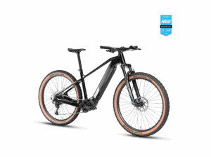 DERUIZ E Bike 250W 110Nm