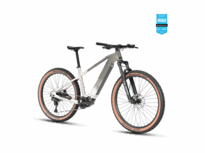 DERUIZ E Bike 48V 720Wh