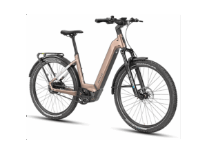 DERUIZ E Bike 720Wh