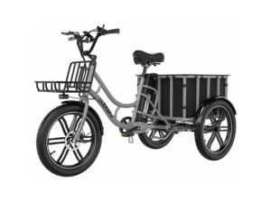 ELEKGO 20 Zoll