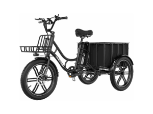 ELEKGO 20 Zoll