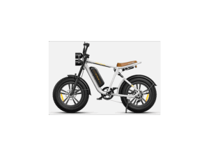 ENGWE M20