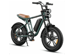 ENGWE M20
