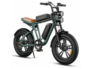 ENGWE M20