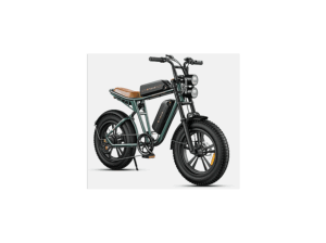 ENGWE M20