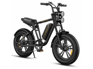 ENGWE M20