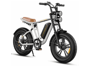 ENGWE M20