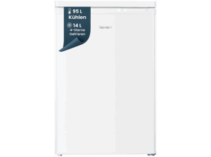 HOMEX CS1091EW