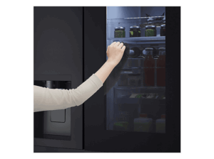 LG GSGE91EVAC