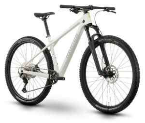 Raymon ARID 29