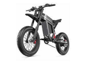 SHENGMILO S900