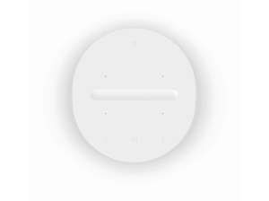SONOS Era 100