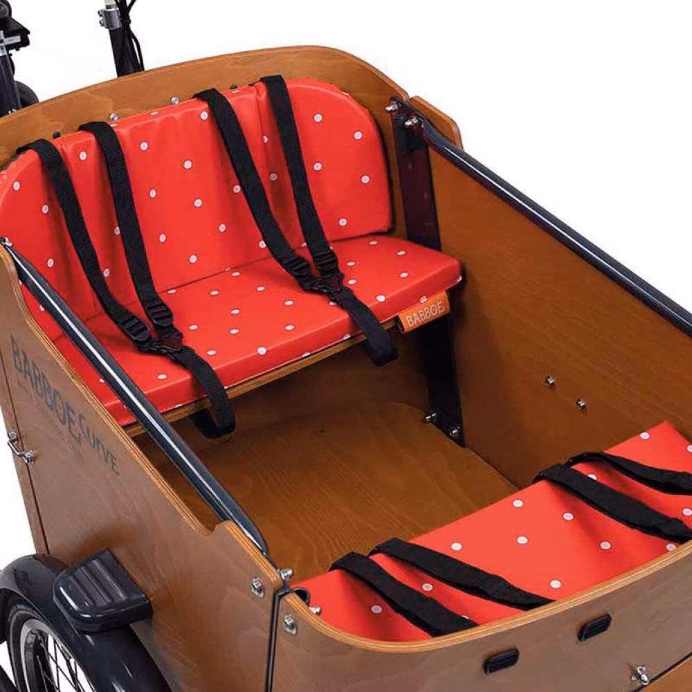 Babboe Kissenset Spotty Dots für Curve