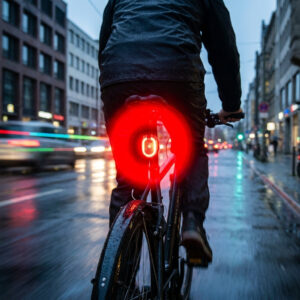 Busch&Müller Batterie-Diodenrücklicht Secula Stvzo
