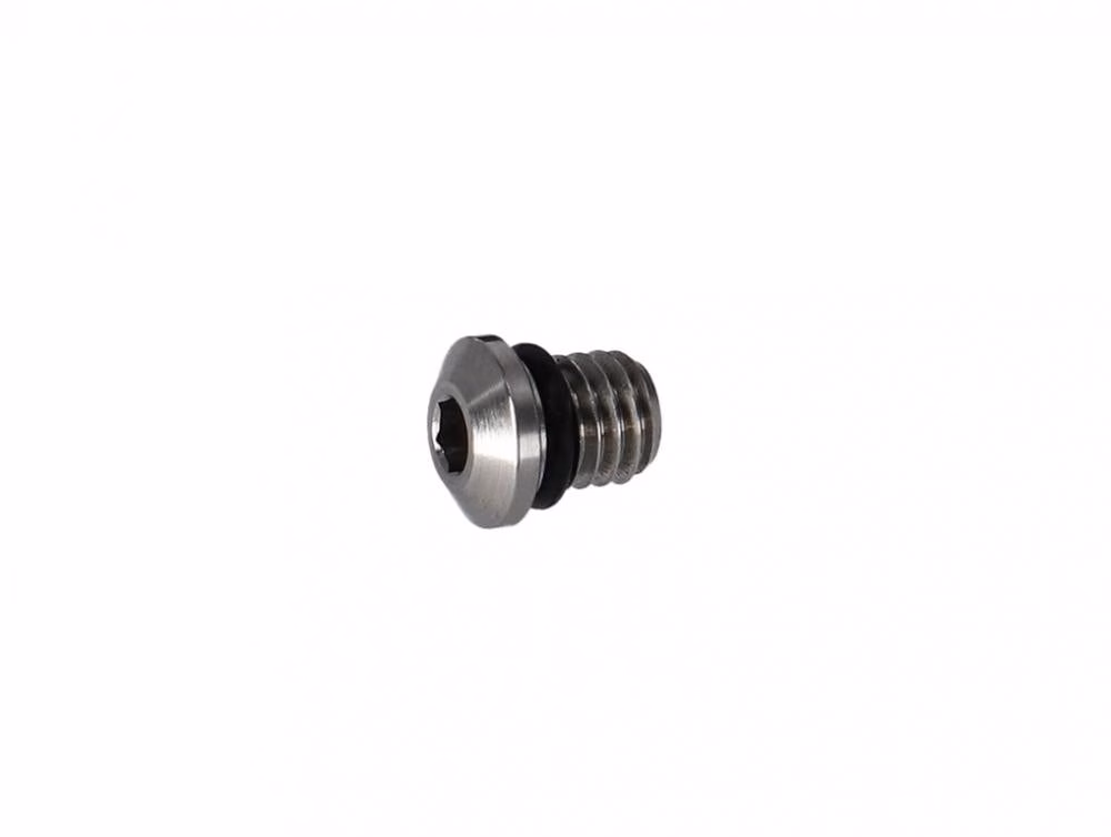 Dichtungsschraube & O-Ring SR-Suntour für SF20 DUROLUX36 Boost RC-PCS