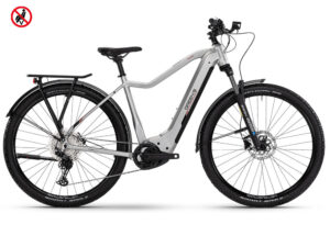 Green’s Corwen F750 | E-Mountainbike | 29" | 750Wh Bosch CX | light grey Größe: 46 cm