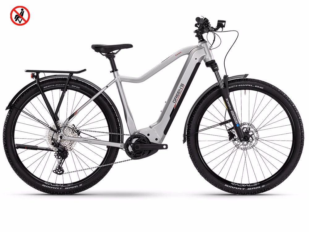 Green’s Corwen F750 | E-Mountainbike | 29" | 750Wh Bosch CX | light grey Größe: 46 cm