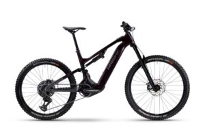 Haibike AllMtn CF 9 High | E-MTB Fully | 29/27.5" | 800Wh Bosch CX | black / platinum Größe: 49 cm