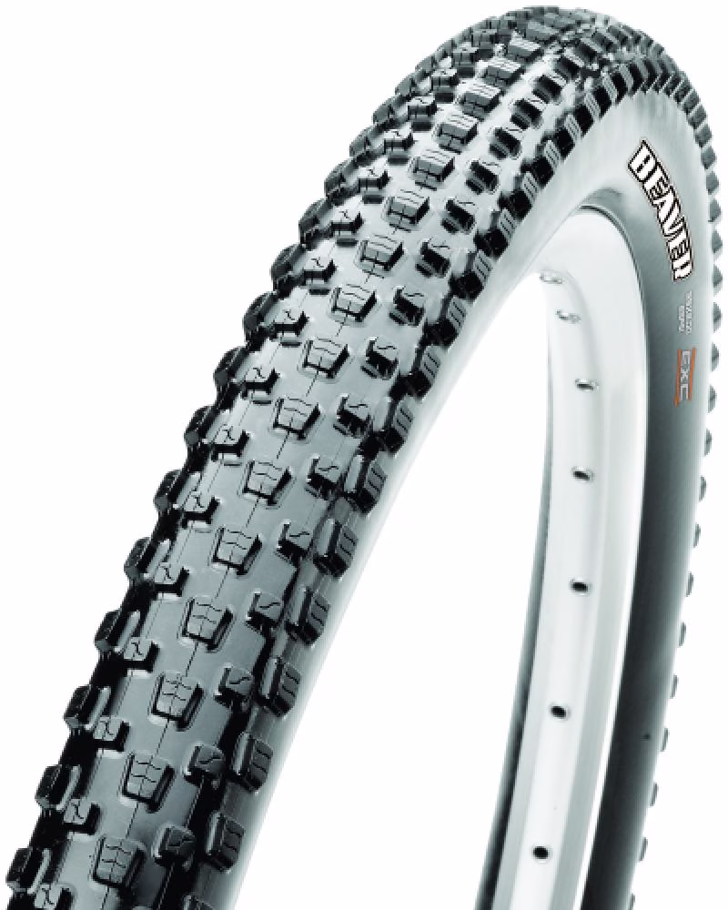 Maxxis Reifen Beaver 26x2.00 Zoll 50-559 schwarz TLR faltbar
