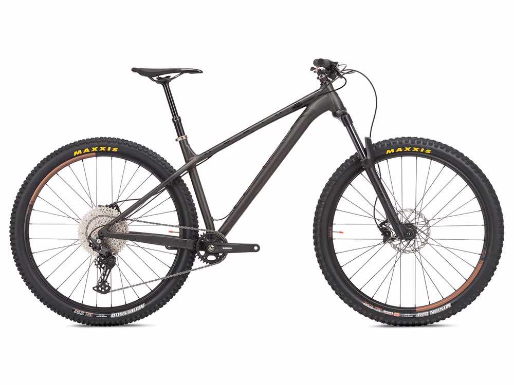 NS Bikes Eccentric Alu | Mountainbike | 29" | schwarz Größe: L