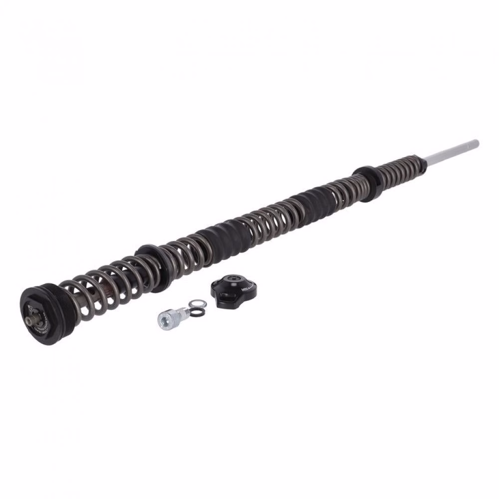 RockShox Federgabel DualPos.CoilAssy 35Silver DPC 11.4018.103.013 medium(rot)27.5/29 160mm