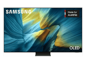 SAMSUNG QE65S95FATXXN