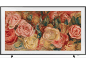 SAMSUNG The Frame TQ50LS03DAU