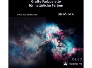 SONY BRAVIA 6 65A65