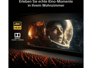 SONY BRAVIA 6 65A65